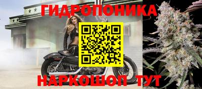 прущие грибы Ликино-Дулёво