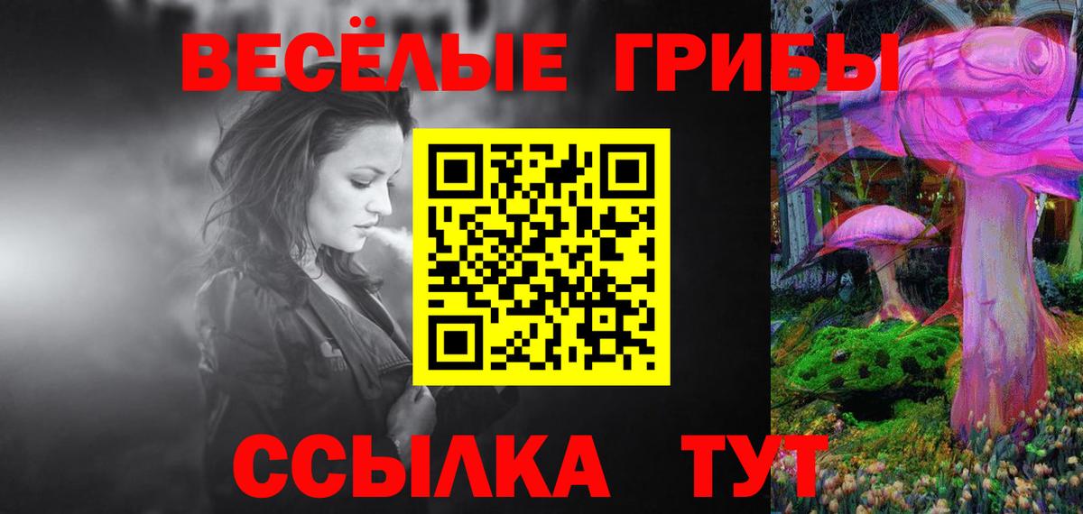 Галлюциногенные грибы мицелий  Вход с VPN  Будённовск 