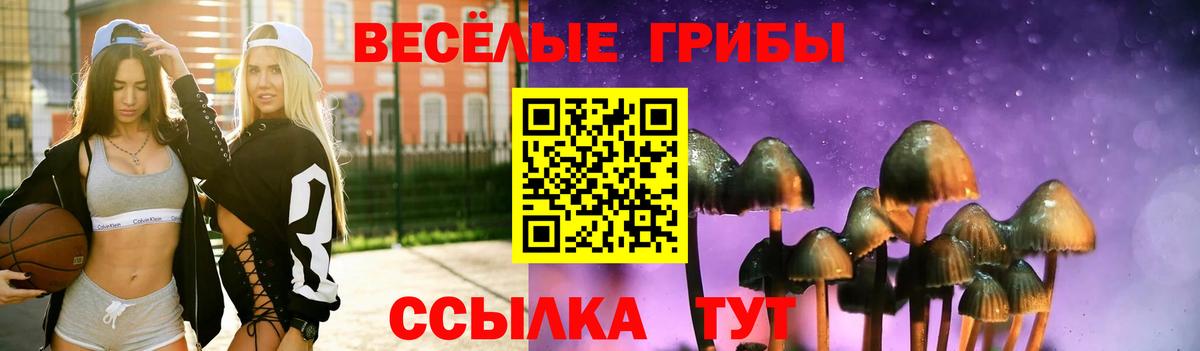 Галлюциногенные грибы Cubensis Будённовск